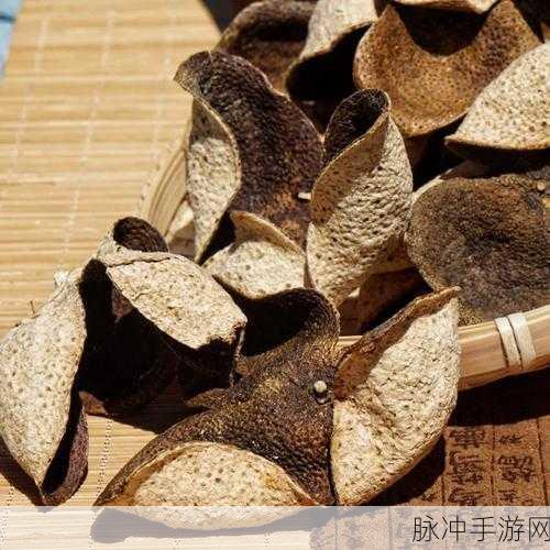 一线产区和二线产区的气候条件：一线产区与二线产区的气候条件详解分析