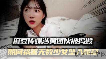 麻豆传煤入口麻豆：探索麻豆传煤入口，开创智慧能源新未来