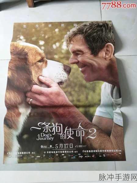 绿巨人聚宝阁黑科技：突破科技界限，探索绿巨人聚宝阁的未来潜力与应用