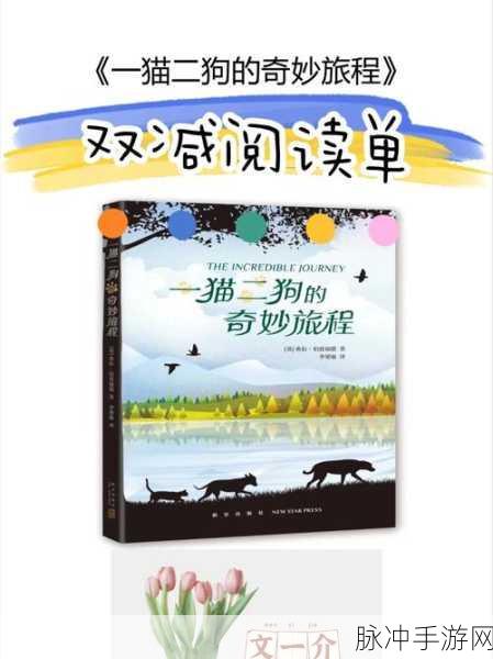 幸福宝8008隐藏读书入口章节：探索幸福宝8008：揭秘隐藏读书入口的奇妙旅程