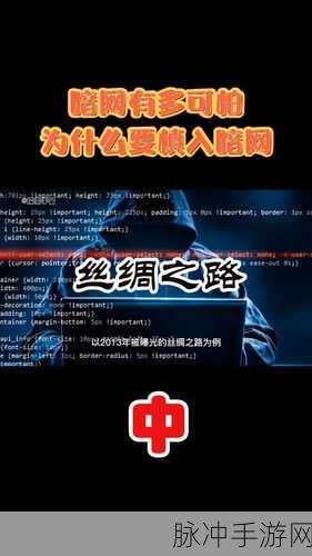 91暗网破解版：探索91暗网破解版的全新功能与安全性分析