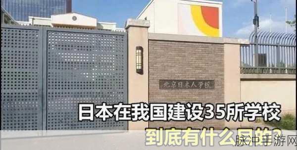 jagnexsmax在日本：在日本市场拓展Jagnexsmax的品牌影响力与战略分析