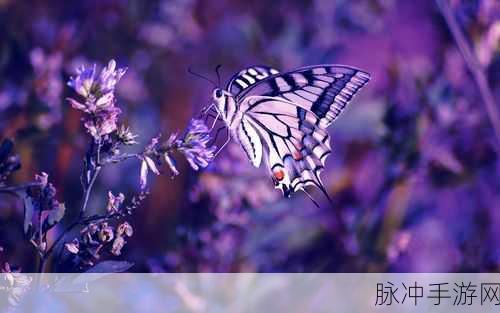 花蝴蝶视频下载：轻松获取花蝴蝶视频下载，让你畅享美丽瞬间