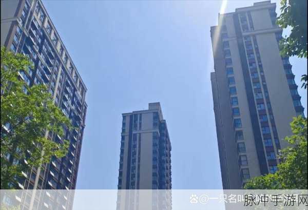 静观其变准确打一肖：静观其变，心随境转，智慧应对未来挑战