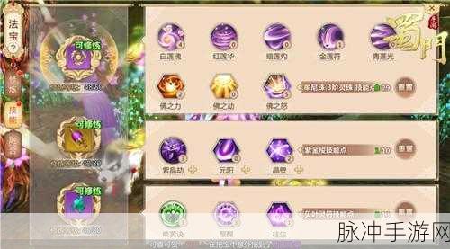蜀门手游飞升攻略：蜀门手游飞升攻略：助你轻松突破飞升境界