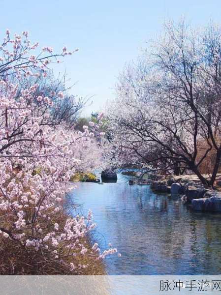桃花洞口已是溪水潺潺：桃花洞口溪水潺潺，春意盎然景色如画。