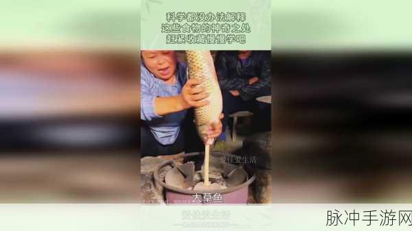 生猴子软件免费下载安装：“免费下载与安装拓展生猴子软件，轻松体验新功能！”