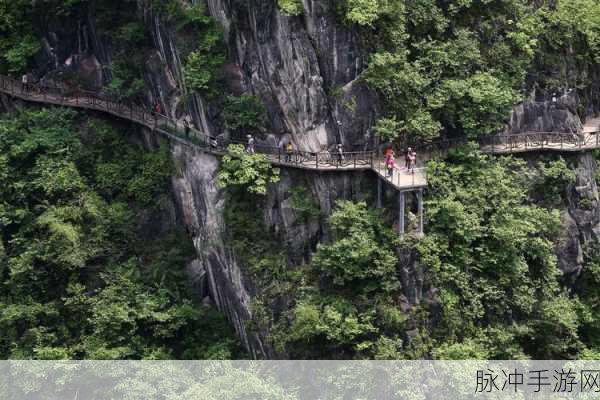 日本WWWWWXXXXXX天美：探索日本神秘魅力与文化底蕴的奇幻之旅