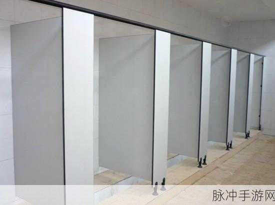 和王总在卫生间隔断：拓展与王总的卫生间隔断设计探讨及其应用价值