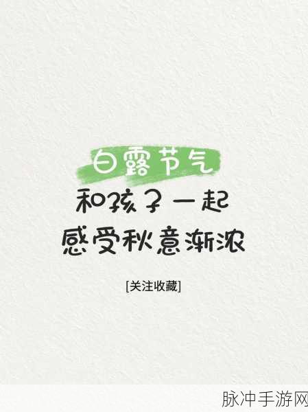白露遗器选择：探索白露遗器的多样选择与文化意义