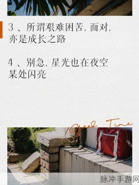 晶晶极限训练日记小说：超越极限：晶晶的训练与成长之路
