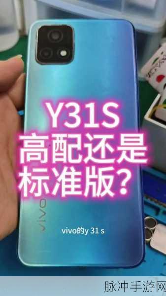 美国成色好的y31s标准版：全面解析美国成色优秀的Y31s标准版手机特点与优势