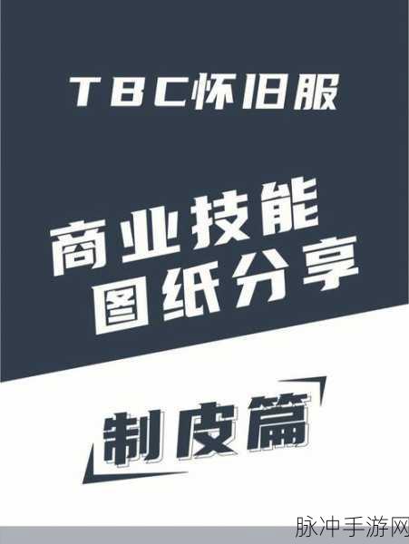 怀旧服制皮350到375官方下载：怀旧服制皮技能提升攻略：从350到375的详细指南