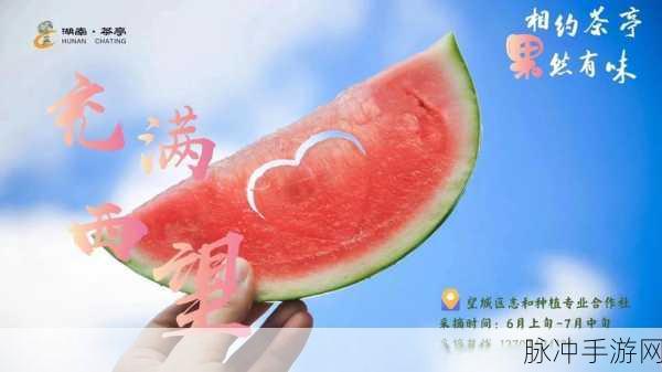 精华区一区：“提升生活品质的精华区一区：探索更多可能性与乐趣”