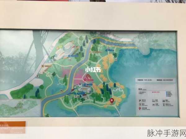 爱情岛1号线和2号线测速论坛哪个好：探讨爱情岛1号线与2号线测速论坛的优劣势分析