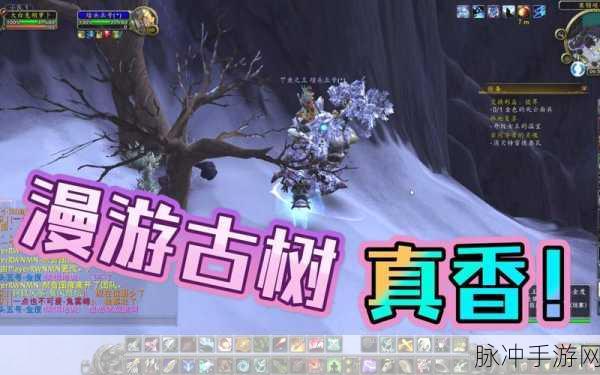 魔兽世界漫游古树怎么获得：《魔兽世界》拓展版中如何获取古树漫游道具详解