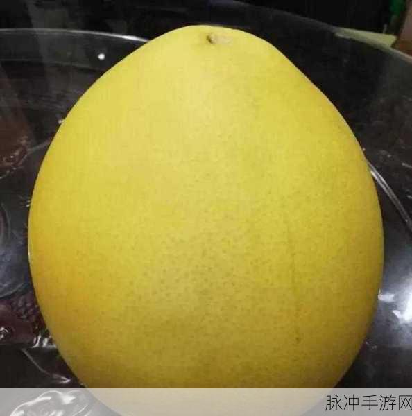 黄色蜜柚小视频：“探秘黄色蜜柚的美味世界，分享独特种植技巧与食用方法！”