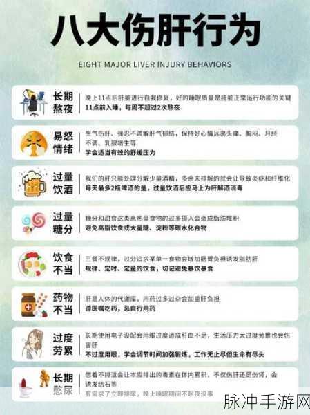 办公室强肝的播出时间,啪啪干啪啪操：拓展办公室强肝的播出时间：一场关于职场与生活的精彩碰撞
