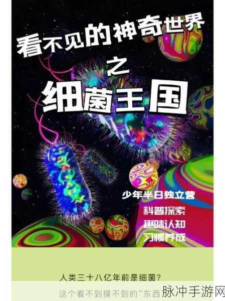 switch辐射：开关辐射：探索微观世界的神秘力量与应用