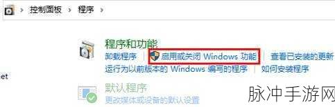 win11 最新的有安卓子系统吗：Windows 11 最新版是否支持安卓子系统功能探讨