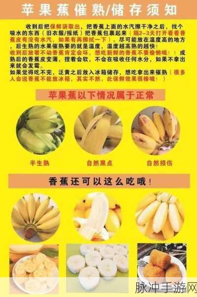 香蕉aqq：探索香蕉的多种用途与健康益处，开启营养新篇章