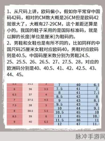 国产尺码和欧洲尺码表2022:2022年国产尺码与欧洲尺码全解析及对照表
