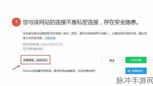 不良网站进入窗口：避免不良网站带来的风险与危害，安全上网更重要。