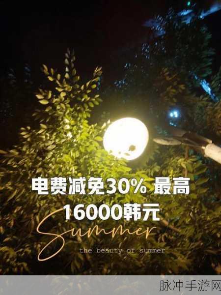韩国三色电费免费吗：韩国三色电费政策：免费使用详解与分析