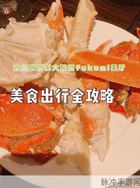 yw193.coc：关于yw193.coc的全面解析与应用探索之旅