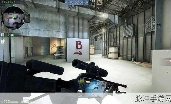 暴躁老阿姨csgo经典片段：暴躁老阿姨的CS：GO奇葩瞬间：让人哭笑不得的疯狂时刻