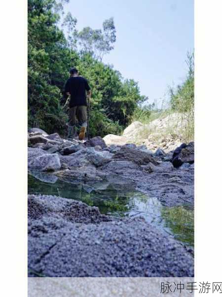 激情小说两峰夹小溪湿地：两峰夹小溪，湿地深处藏情缘