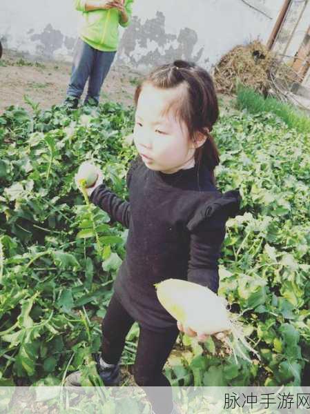 拔萝卜不盖被子动做大片：拔萝卜的乐趣与不盖被子的小烦恼