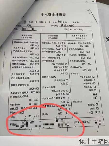 国产一二三区四区2021天鹅：2021年天鹅项目：助力国产一二三区四区全面升级发展