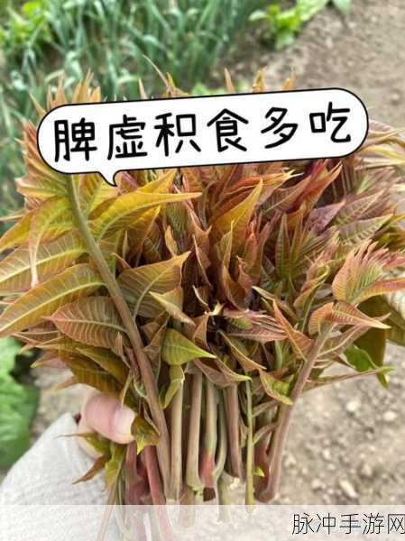 小孩半夜喂姐姐吃萝卜：深夜小孩偷偷喂姐姐吃萝卜的温馨故事