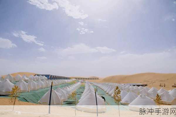 酒店服务生成 版满天星：全面提升酒店服务质量，打造星级体验新标准