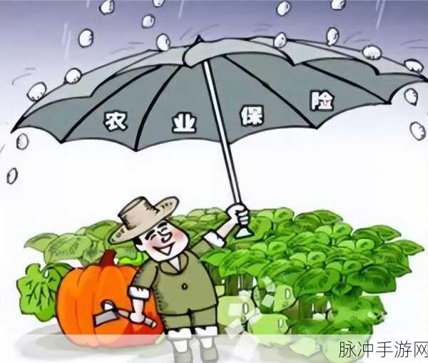 庆元吴建飞近期新闻：庆元吴建飞：聚焦乡村振兴，推动地方经济发展新举措