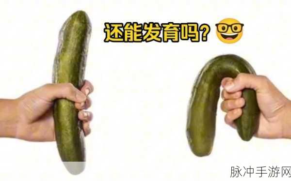 男生将坤坤申请女生：男生申请将坤坤转为女生身份的详细过程与心路历程