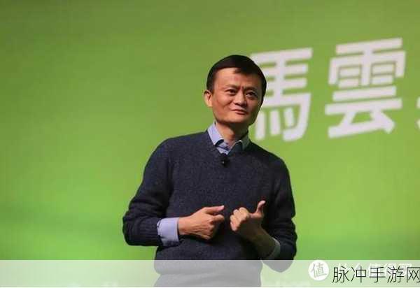 马云外滩金融峰会讲话错在哪里：马云外滩金融峰会演讲中的误区与思考分析