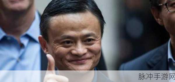 马云外滩金融峰会讲话错在哪里：马云外滩金融峰会演讲中的误区与思考分析