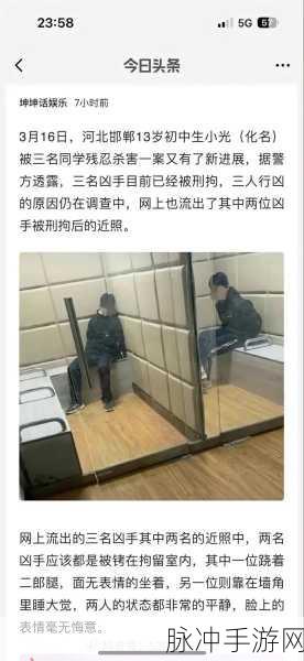 坤坤寒进桃子里怎么办!-坤坤寒进桃子里的处理与预防策略!-自己搭建下载站：如何处理坤坤寒进入桃子里的问题与预防策略探讨