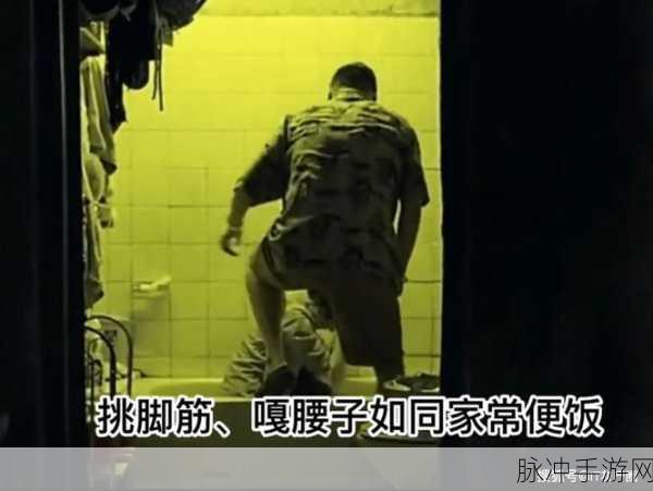 缅北血腥网站软件：缅北地区暴力事件揭秘：深入血腥网站背后的真相与影响