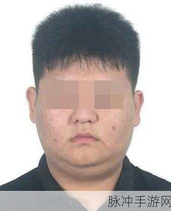 缅北血腥网站软件：缅北地区暴力事件揭秘：深入血腥网站背后的真相与影响