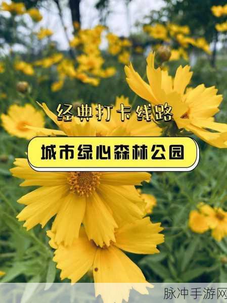 肌肌桶肌肌免费网站：探索肌肤护理与保养的最佳资源平台，尽在这里！