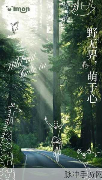 插bb：插bb的多样化应用与发展趋势探讨