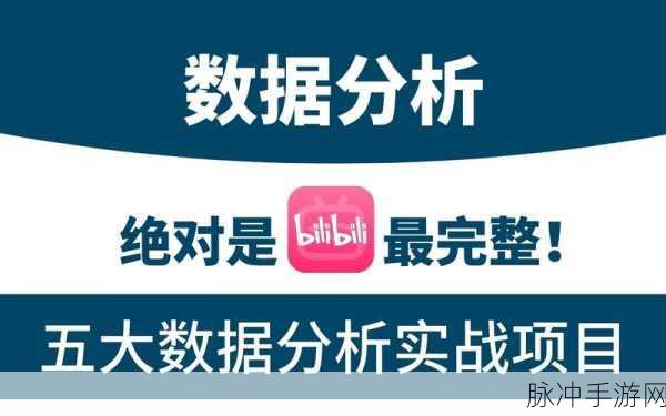 国外B站不收费2024!：探索2024年国外B站的免费观影新途径与资源分享