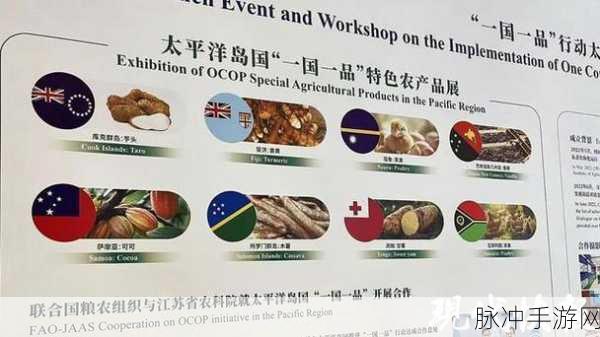 精产国品一区二三产品：拓展精制产品，推动国品一区二三产业升级与发展