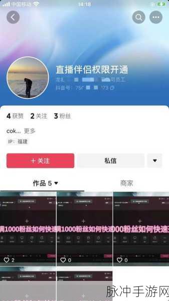 欧州一线二线三线W955澎湃号：拓展欧洲市场，推动W955澎湃号跨越一线二线三线城市。