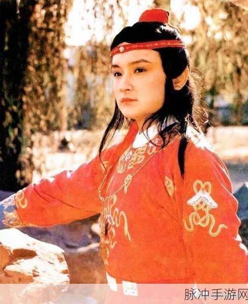 贾宝玉大战王熙凤是第几回：贾宝玉巧斗王熙凤，家族纷争揭真相