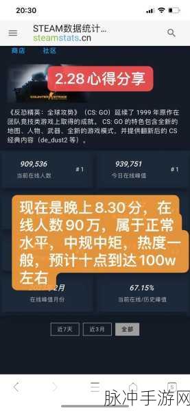 暴躁老姐的csgo心得分享45岁：45岁暴躁老姐的CSGO心得分享：从菜鸟到高手的成长之路