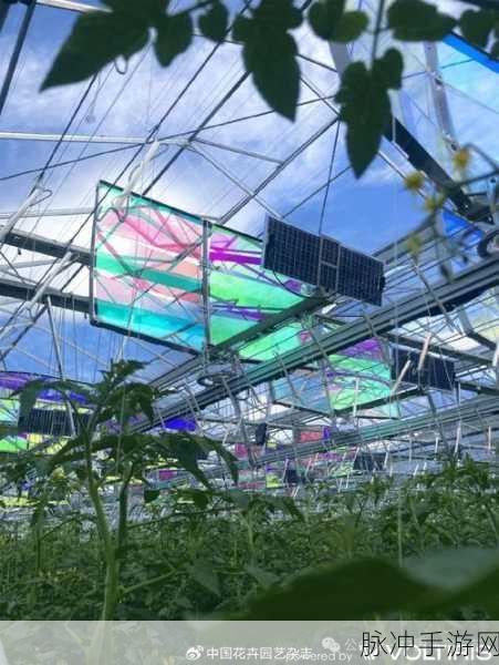 性荷兰：荷兰的可持续发展与未来拓展性趋势分析